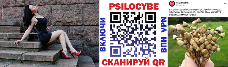 Галлюциногенные грибы прущие грибы  Ухта 